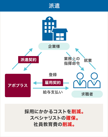 派遣 企業様→アポプラスと派遣契約 アポプラス→企業様と派遣契約 求職者→アポプラスと雇用契約(登録) アポプラス→求職者に給与支払い 求職者→企業様に就業 企業様→求職者に業務上の指揮命令 採用にかかるコストを削減。スペシャリストの確保。社員教育費用の削減。
