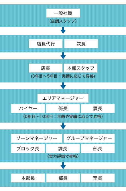 一般社員（店舗スタッフ）→店長代行、次長→店長・本部スタッフ（3年目～5年目：実績に応じて昇格）→エリアマネージャー、バイヤー、係長、課長（5年目～10年目：年齢や実績に応じて昇格）→ゾーンマネージャー、グループマネージャー、ブロック長、課長、部長（実力評価で昇格）→本部長、部長、室長